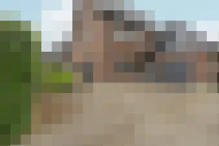 Tolsingel 145 Zevenaar thumbnail 76