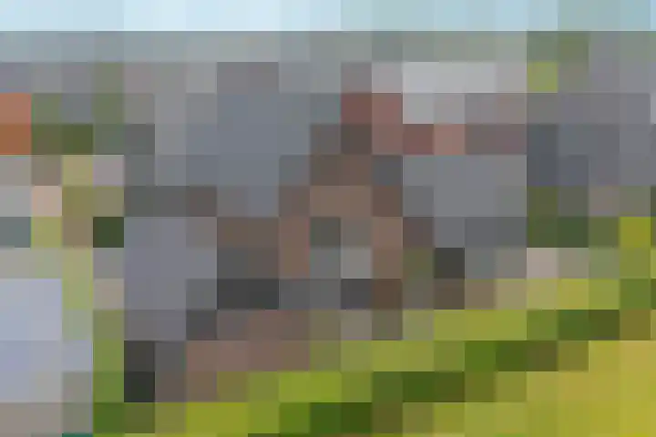 Tolsingel 145 Zevenaar thumbnail 78