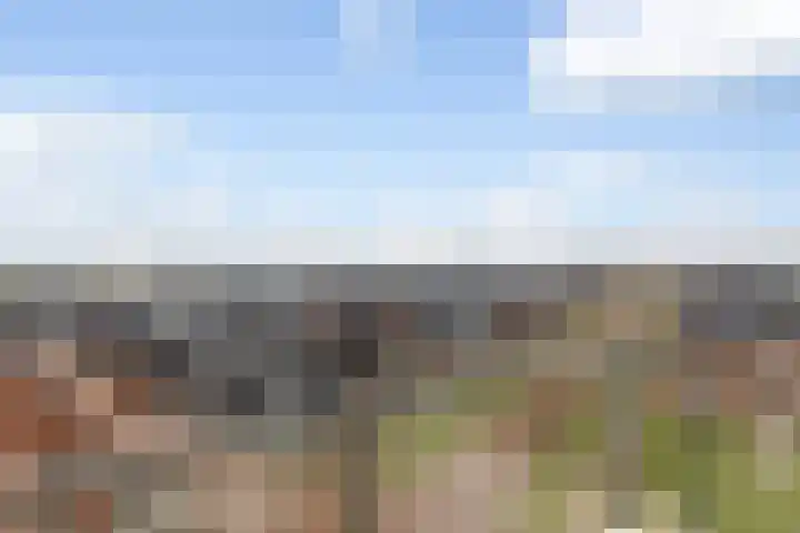 Tolsingel 29 Zevenaar thumbnail 14