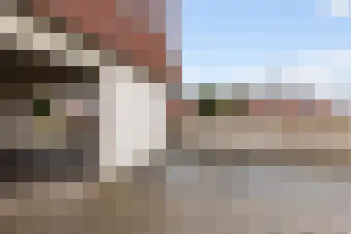Tolsingel 29 Zevenaar thumbnail 28