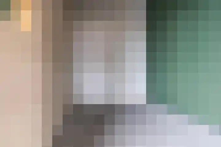 Tolsingel 29 Zevenaar thumbnail 30