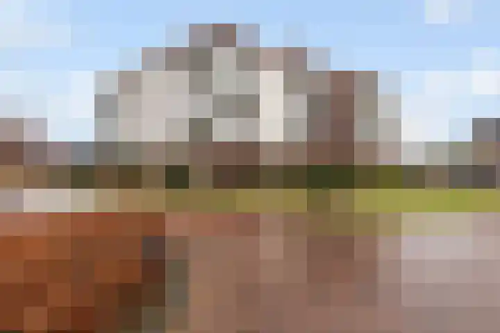 Tolsingel 29 Zevenaar thumbnail 32