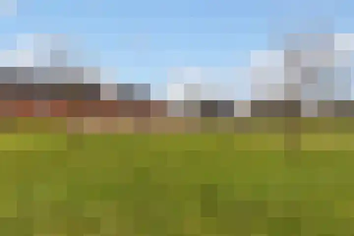 Tolsingel 29 Zevenaar thumbnail 33