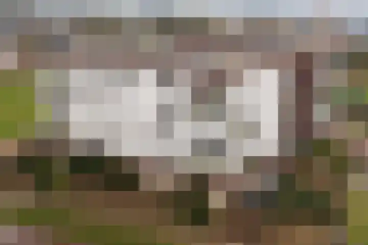 Tolsingel 29 Zevenaar thumbnail 37