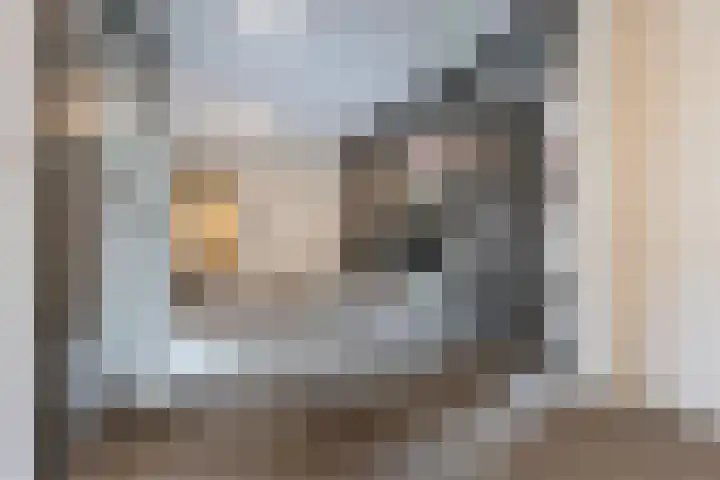 Tolsingel 29 Zevenaar thumbnail 4