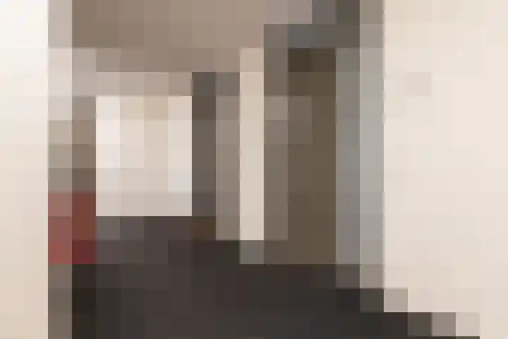Tolsingel 29 Zevenaar thumbnail 7