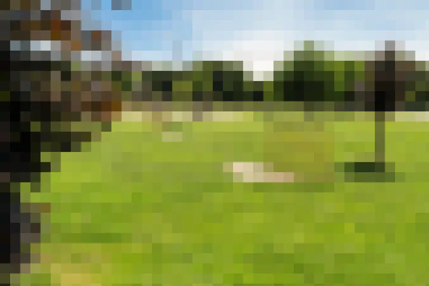 Tolsingel 31 Zevenaar thumbnail 61