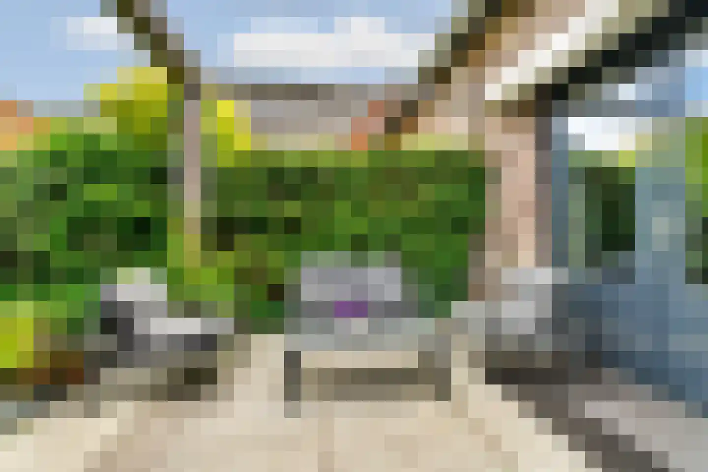Tolsingel 40 Zevenaar thumbnail 39