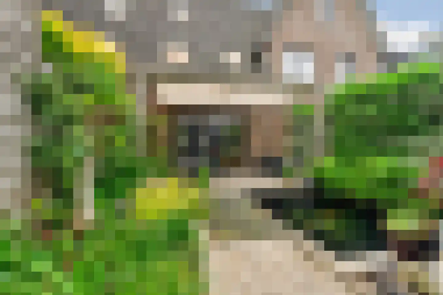 Tolsingel 40 Zevenaar thumbnail 4