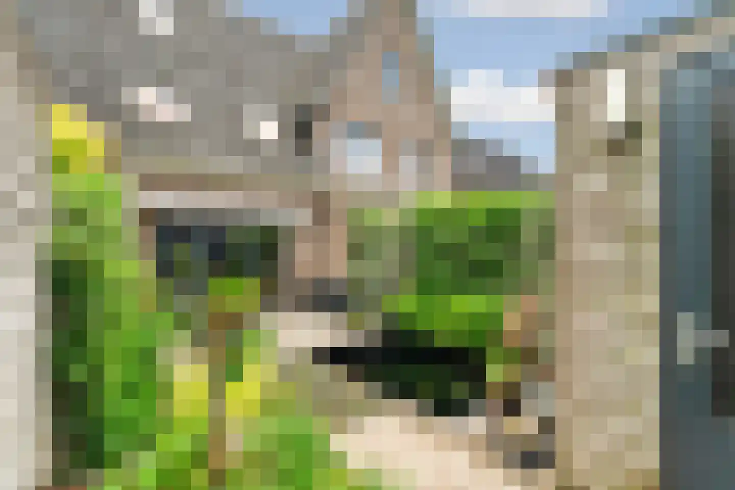 Tolsingel 40 Zevenaar thumbnail 45