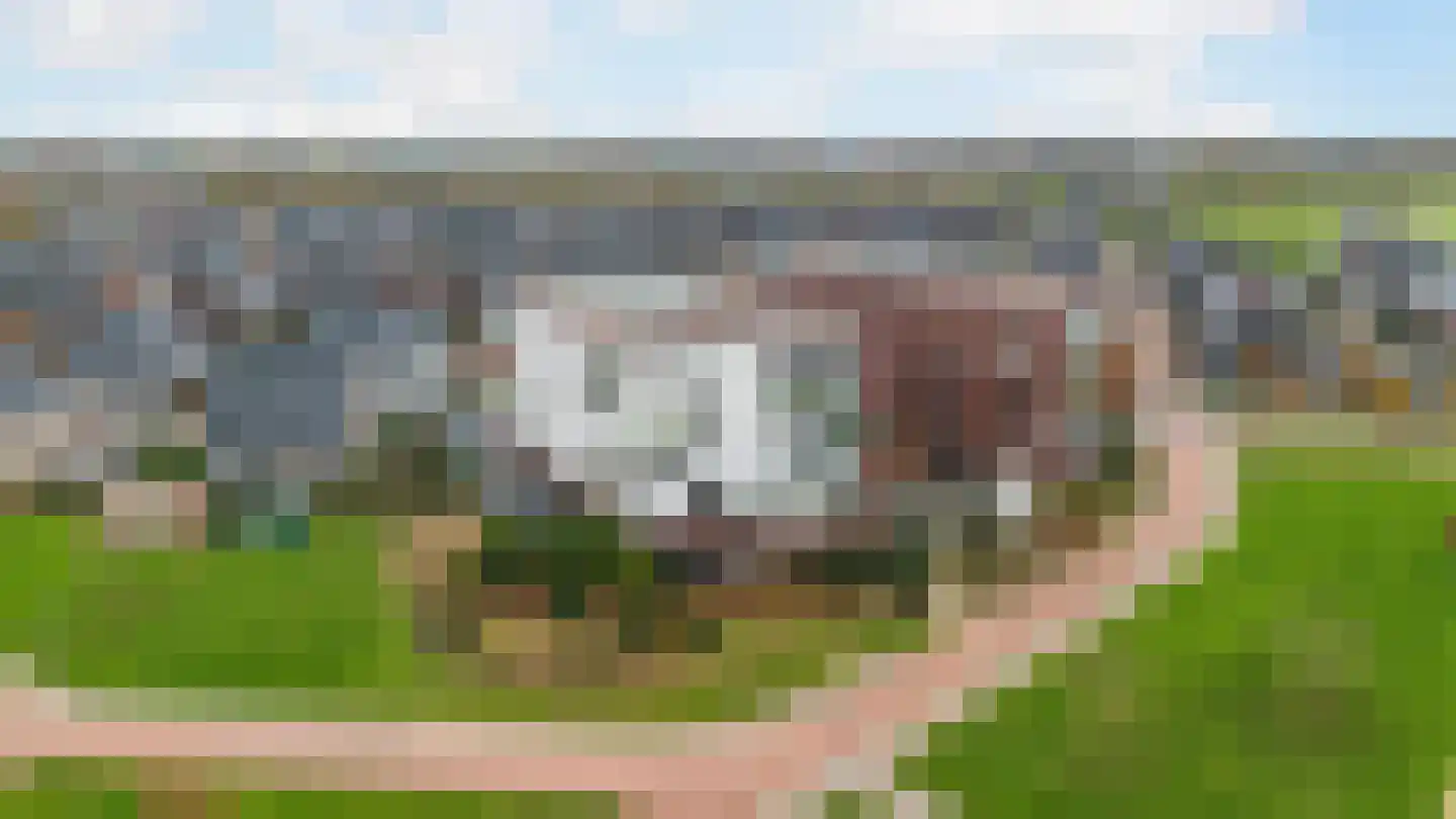 Tolsingel 47 Zevenaar thumbnail 28