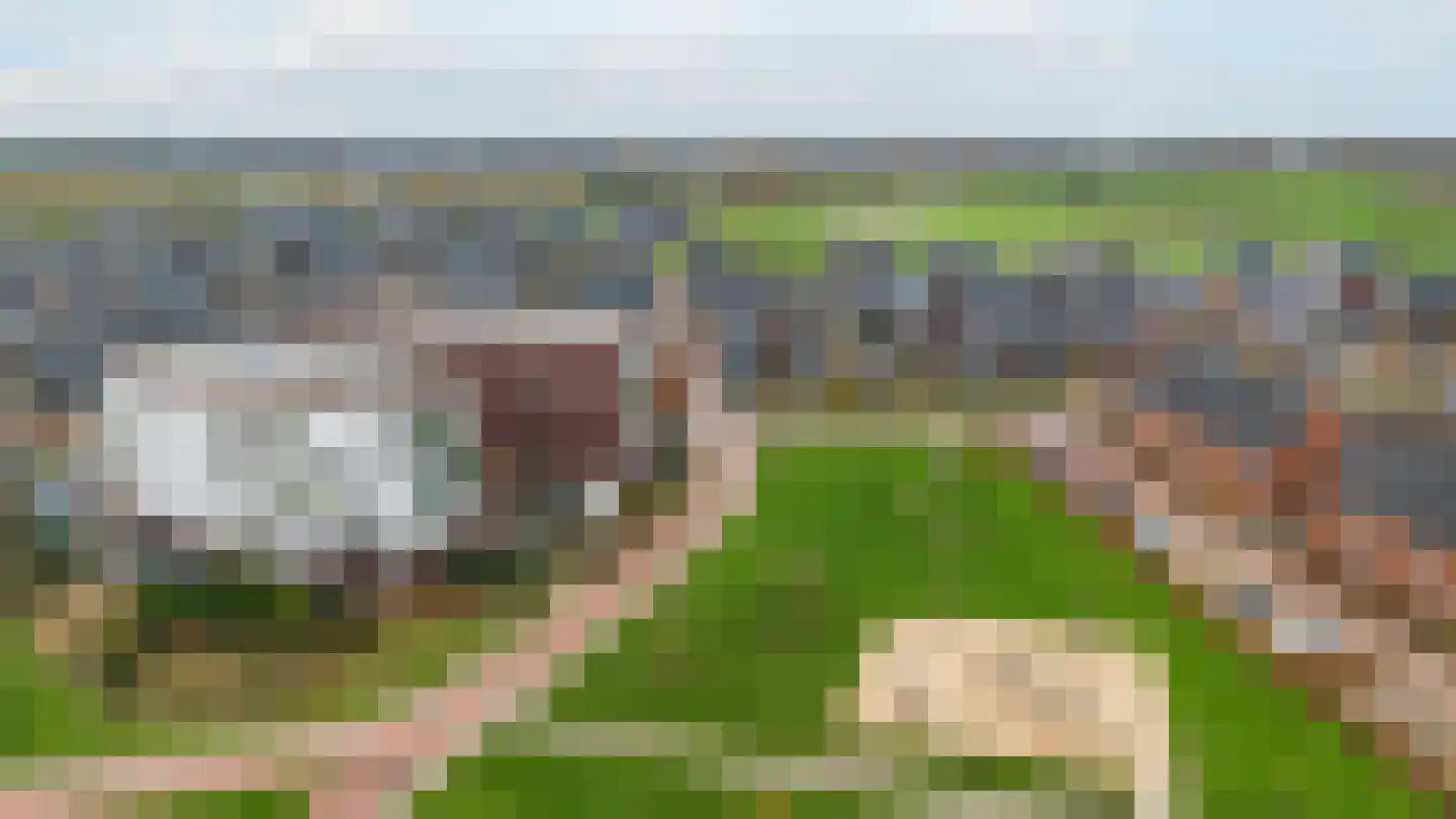 Tolsingel 47 Zevenaar thumbnail 29