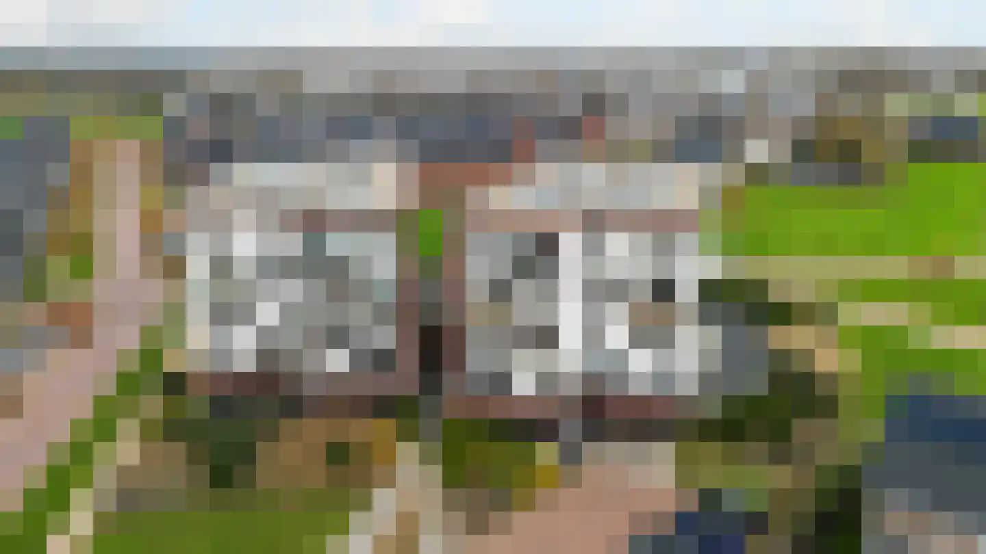 Tolsingel 47 Zevenaar thumbnail 6