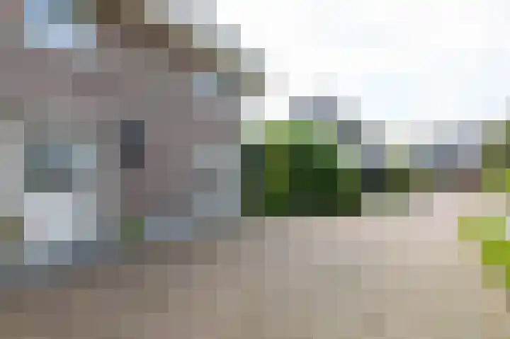 Tolsingel 61 Zevenaar thumbnail 11