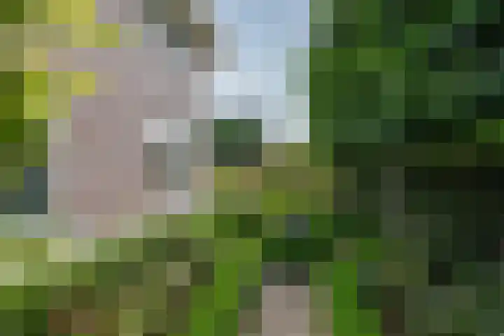 Tolsingel 61 Zevenaar thumbnail 67