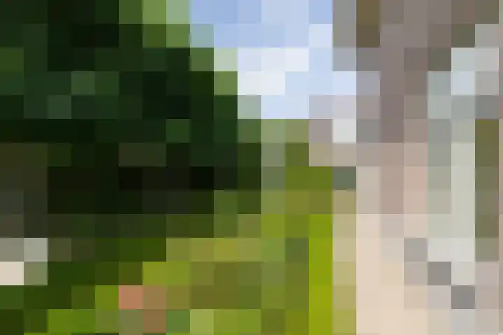 Tolsingel 61 Zevenaar thumbnail 68