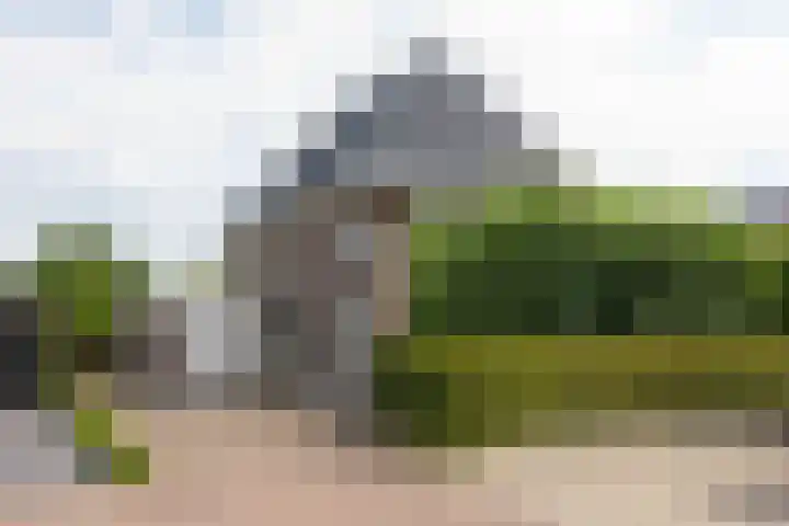 Tolsingel 61 Zevenaar thumbnail 7