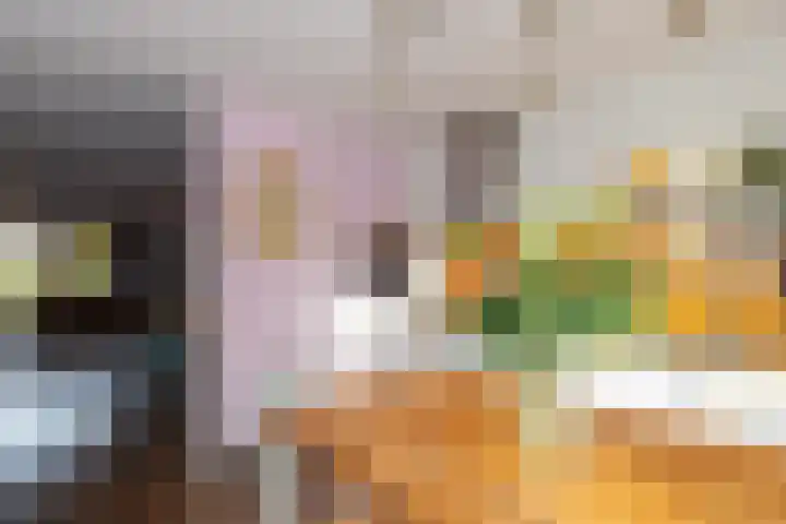 Tolsteeg 1 e Wijngaarden thumbnail 10