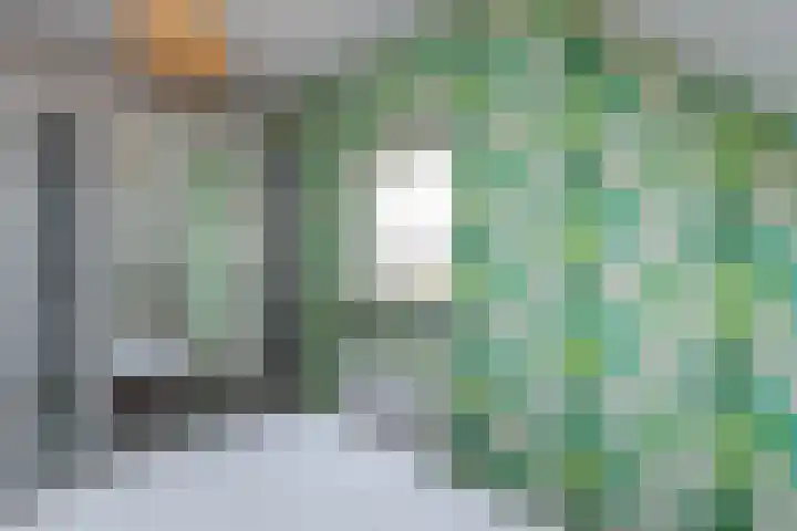 Tolsteeg 1 e Wijngaarden thumbnail 14