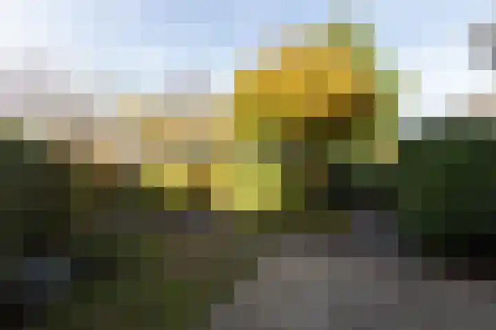 Tolsteeg 1 e Wijngaarden thumbnail 18