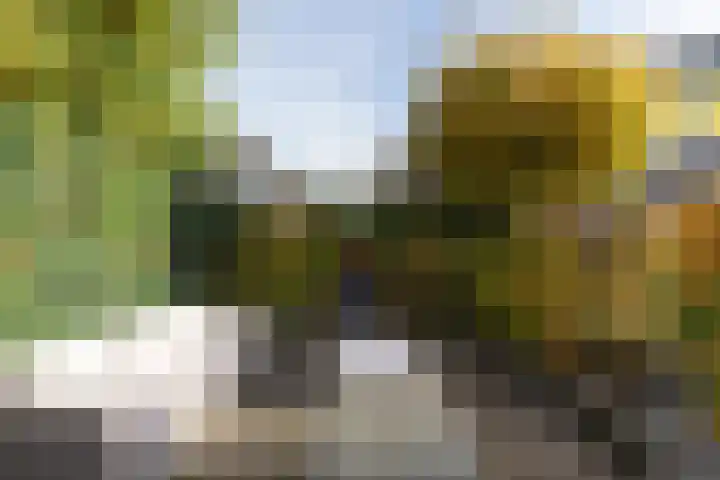 Tolsteeg 1 e Wijngaarden thumbnail 19
