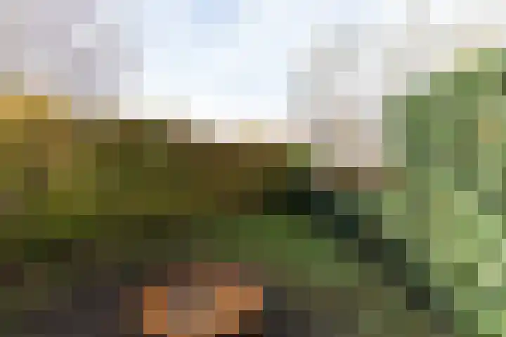Tolsteeg 1 e Wijngaarden thumbnail 20