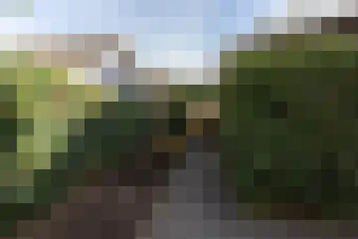 Tolsteeg 1 e Wijngaarden thumbnail 21