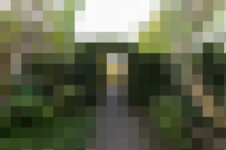 Tolsteeg 1 e Wijngaarden thumbnail 23