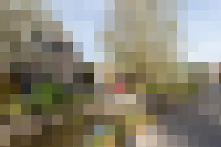 Tolsteeg 1 e Wijngaarden thumbnail 25