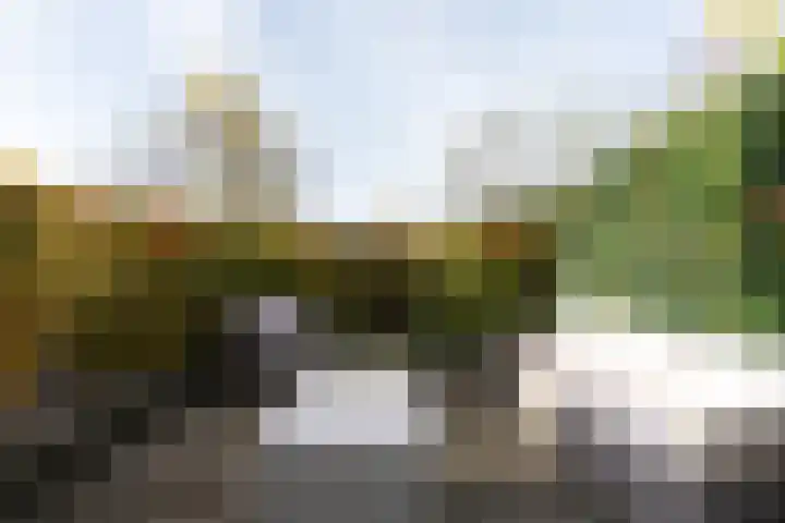 Tolsteeg 1 e Wijngaarden thumbnail 4
