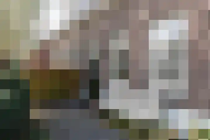 Tolsteeg 1 e Wijngaarden thumbnail 5
