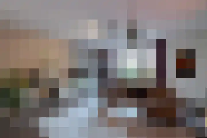 Tolsteeg 1 e Wijngaarden thumbnail 6