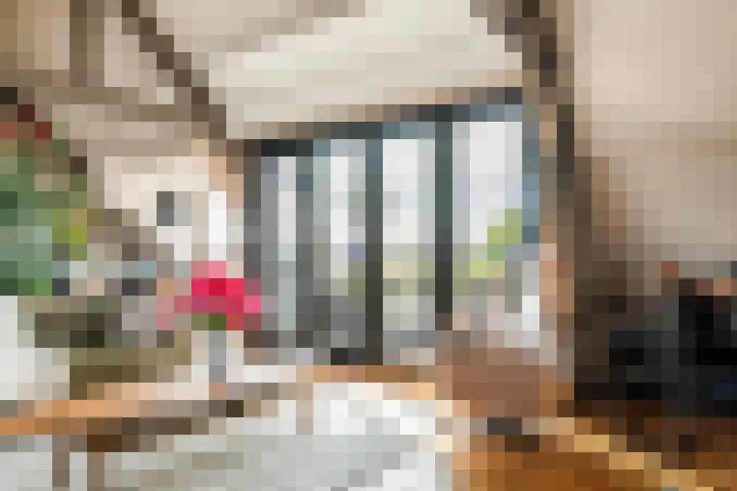 Tolsteeg 11 Gorinchem thumbnail 33