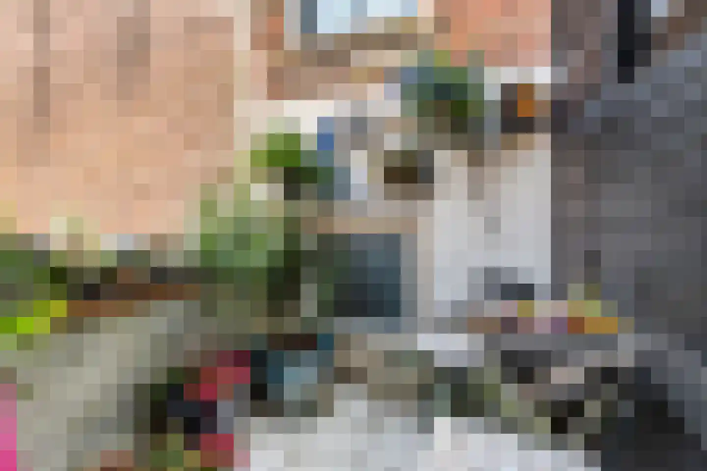 Tolsteeg 13 Gorinchem thumbnail 19