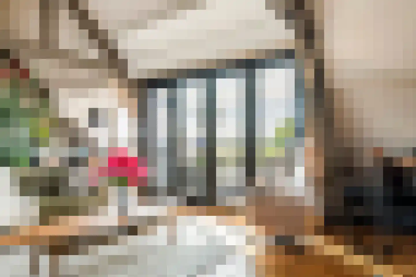 Tolsteeg 13 Gorinchem thumbnail 34