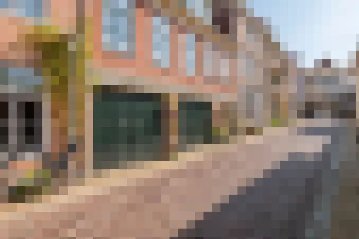 Tolsteeg 13 Gorinchem thumbnail 41