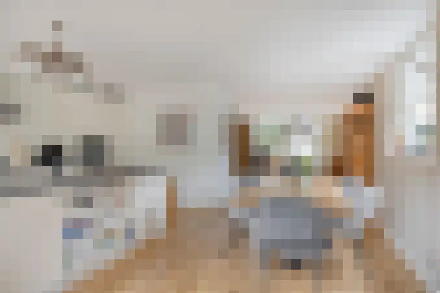 Tolsteeg 14 Sliedrecht thumbnail 11