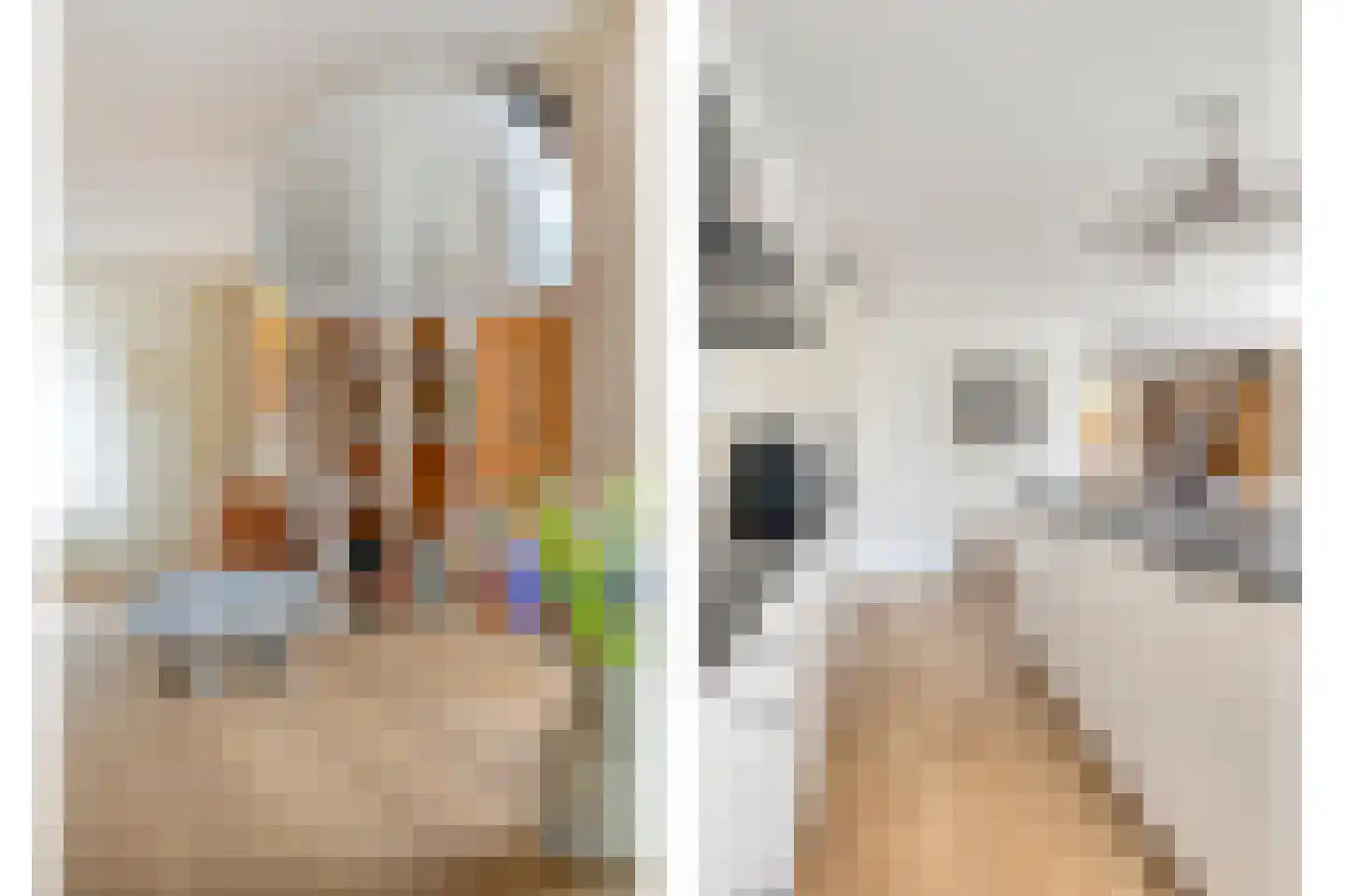 Tolsteeg 14 Sliedrecht thumbnail 12