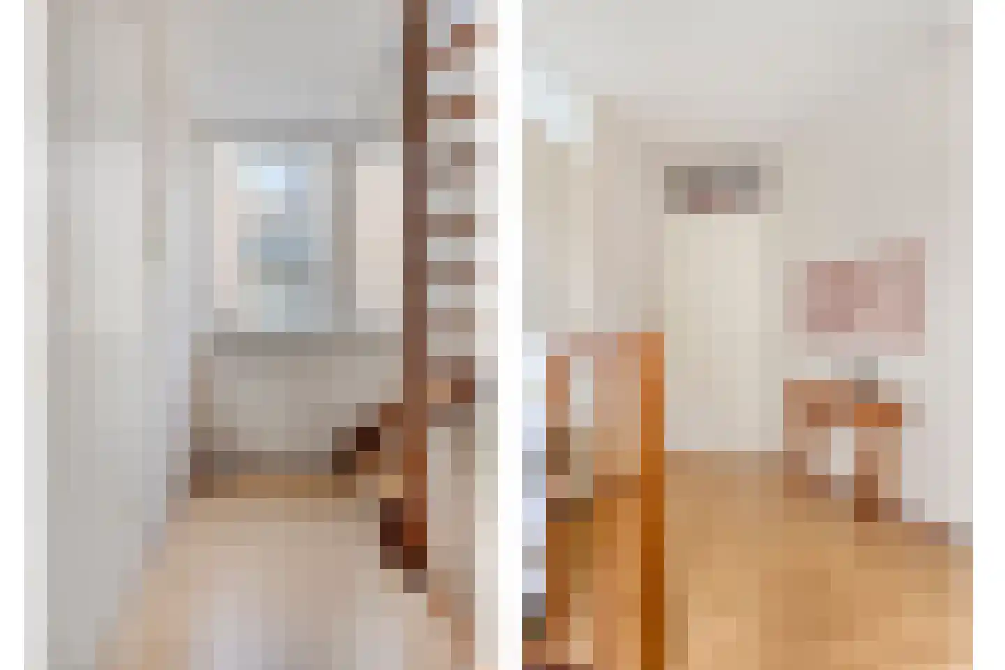 Tolsteeg 14 Sliedrecht thumbnail 16