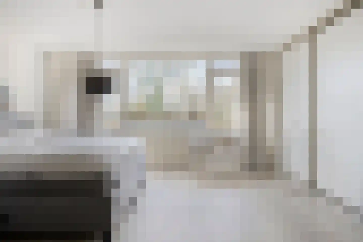 Tolsteeg 14 Sliedrecht thumbnail 17
