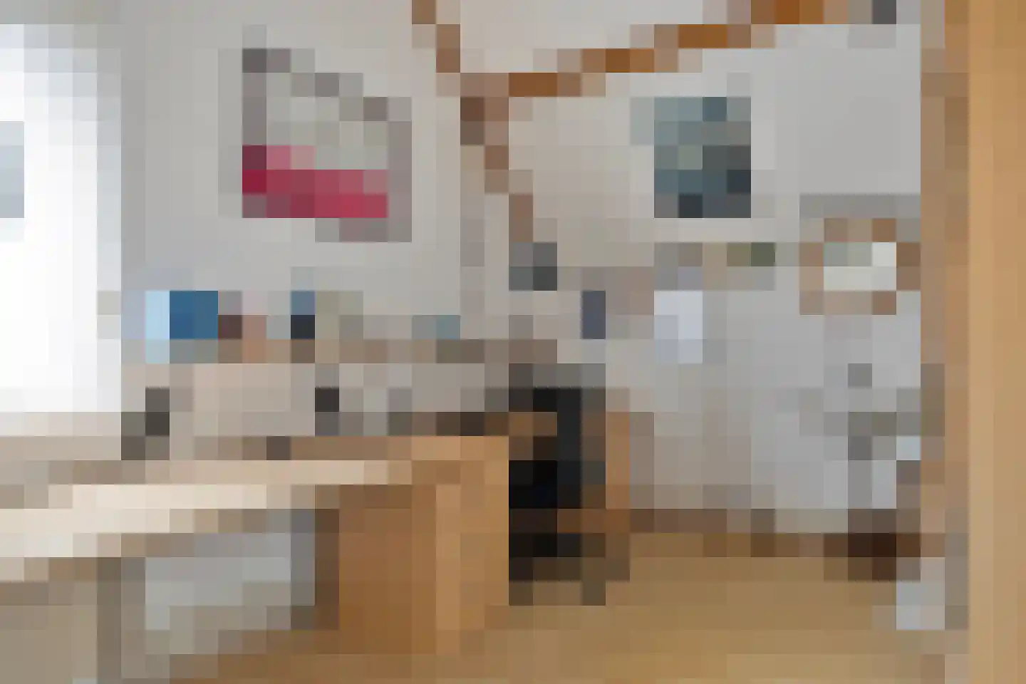 Tolsteeg 14 Sliedrecht thumbnail 28