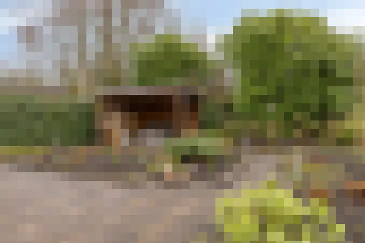 Tolsteeg 14 Sliedrecht thumbnail 31