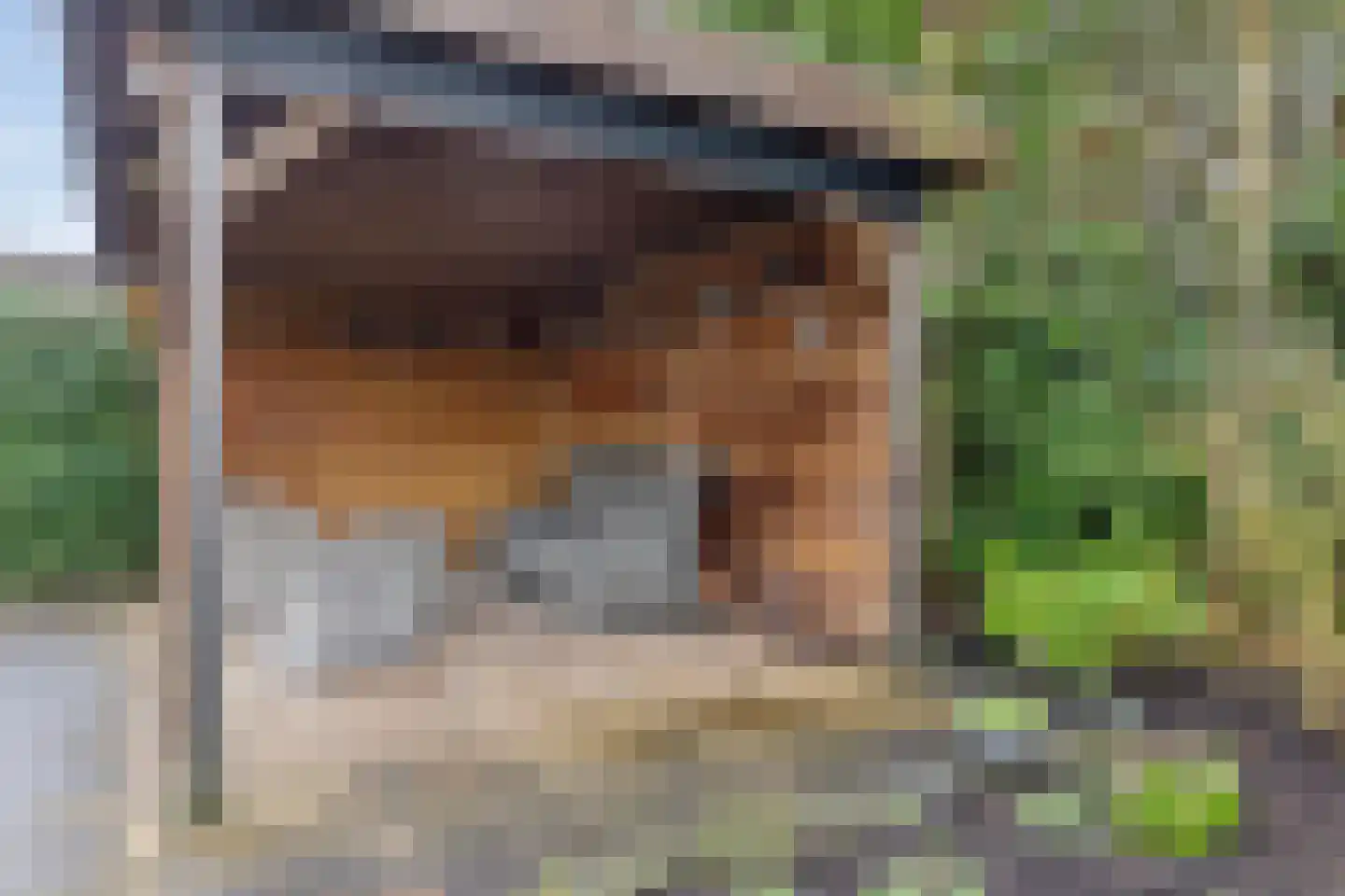 Tolsteeg 14 Sliedrecht thumbnail 32