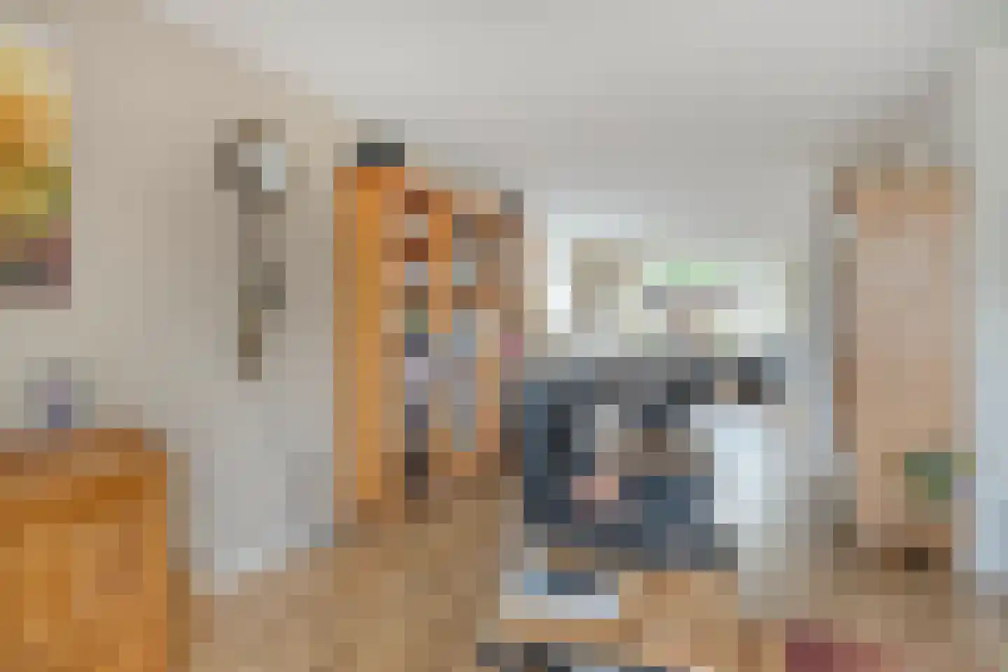 Tolsteeg 14 Sliedrecht thumbnail 6