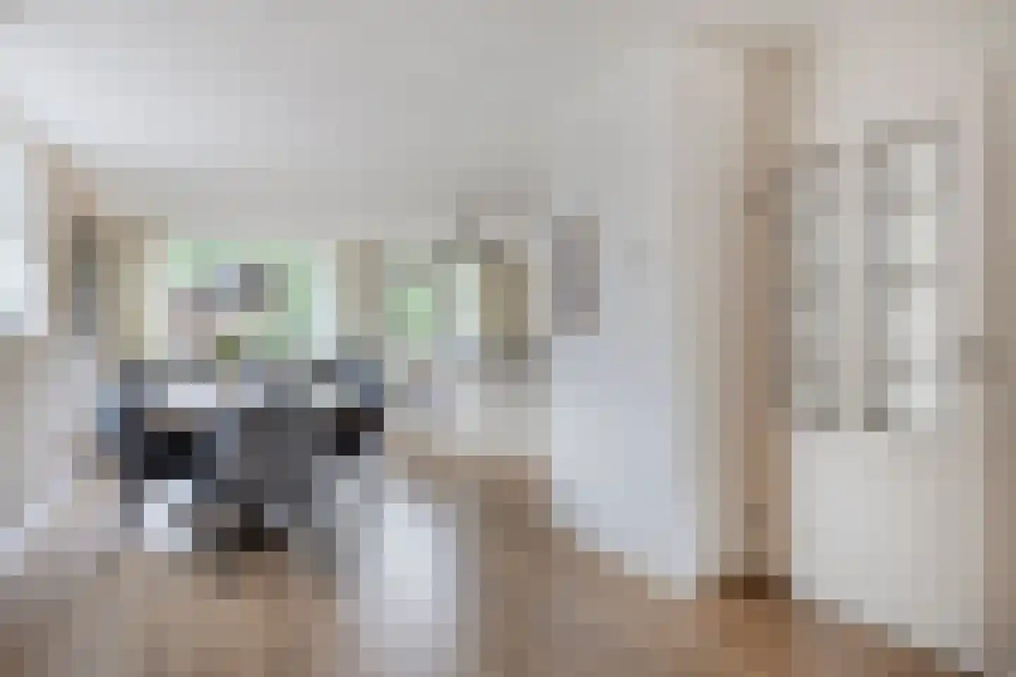 Tolsteeg 14 Sliedrecht thumbnail 7