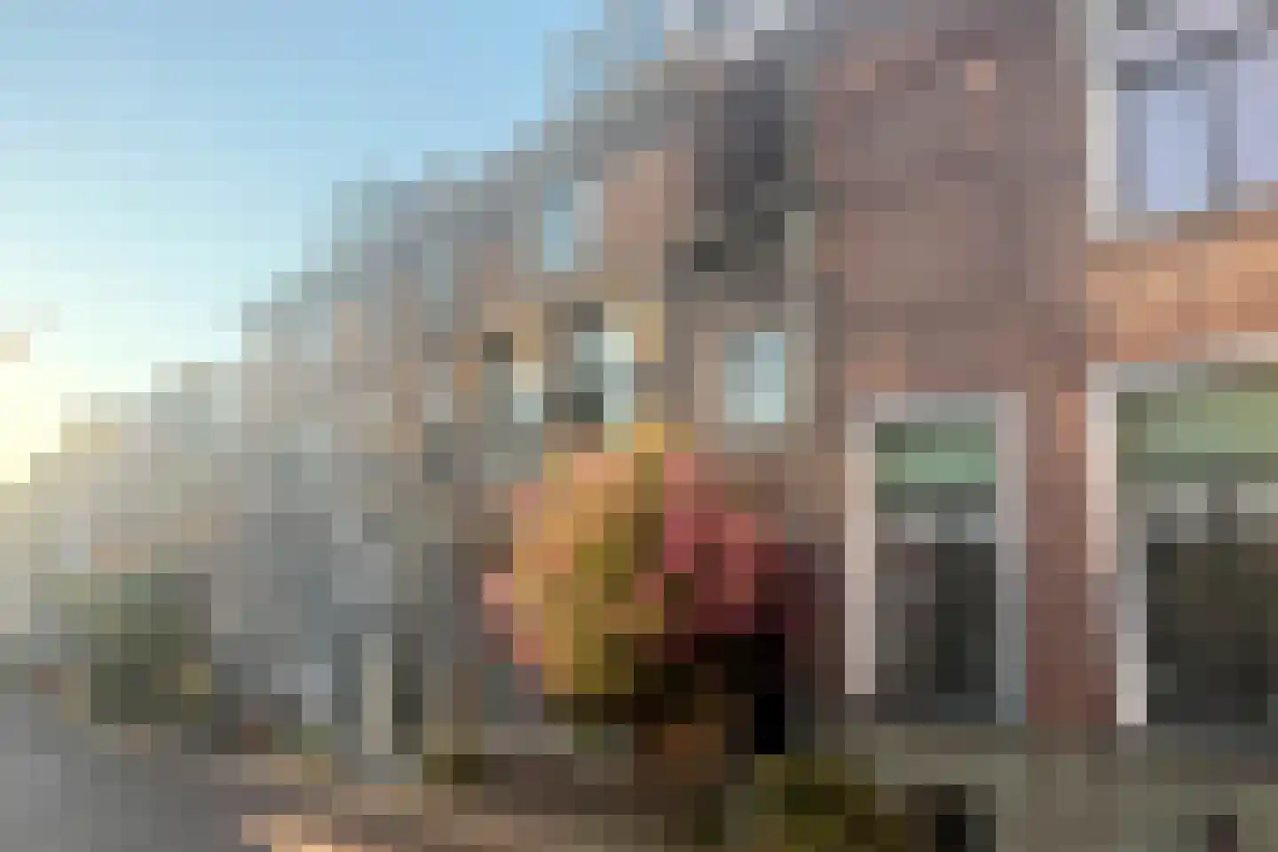 Tolsteeg 17 Gorinchem