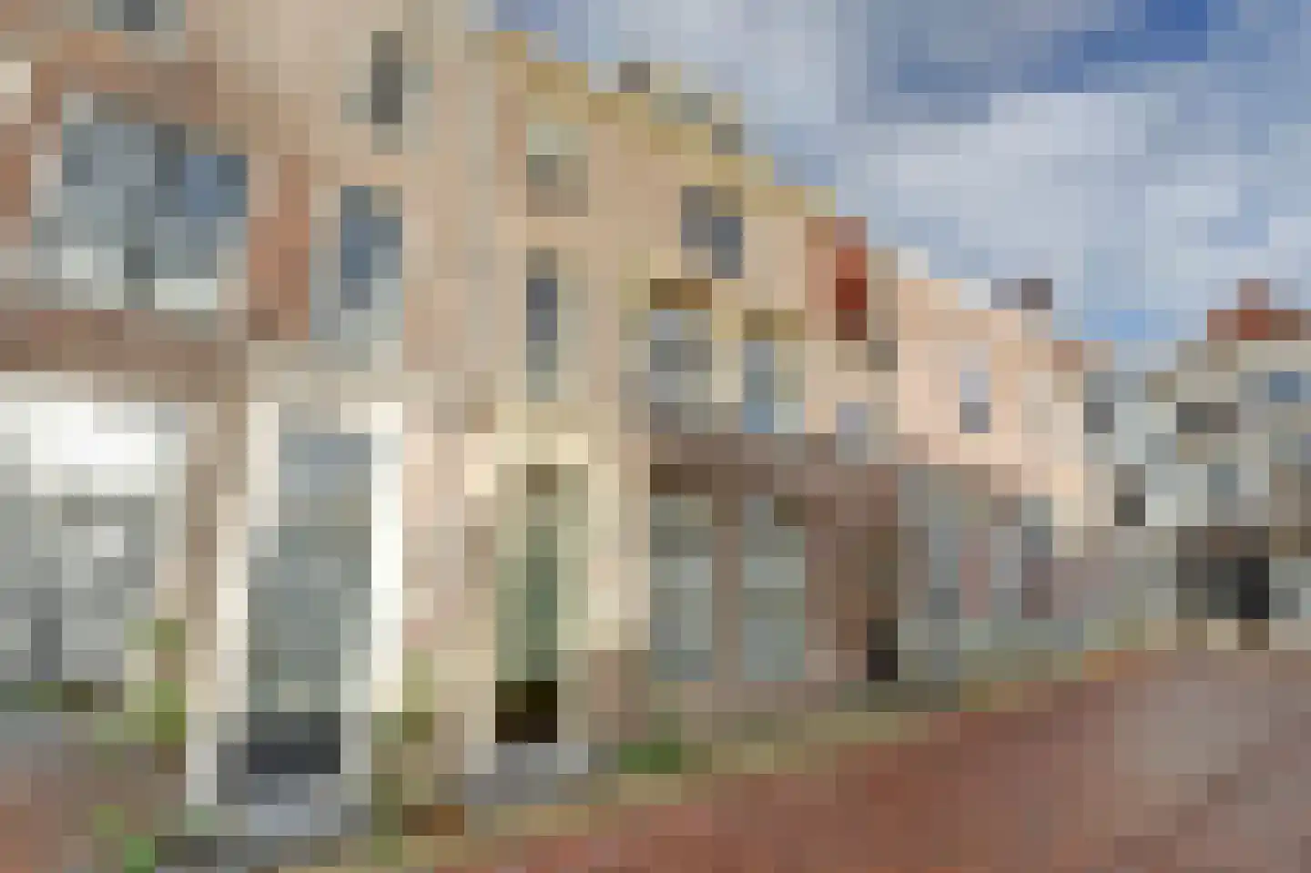 Tolsteeg 17 Gorinchem thumbnail 43