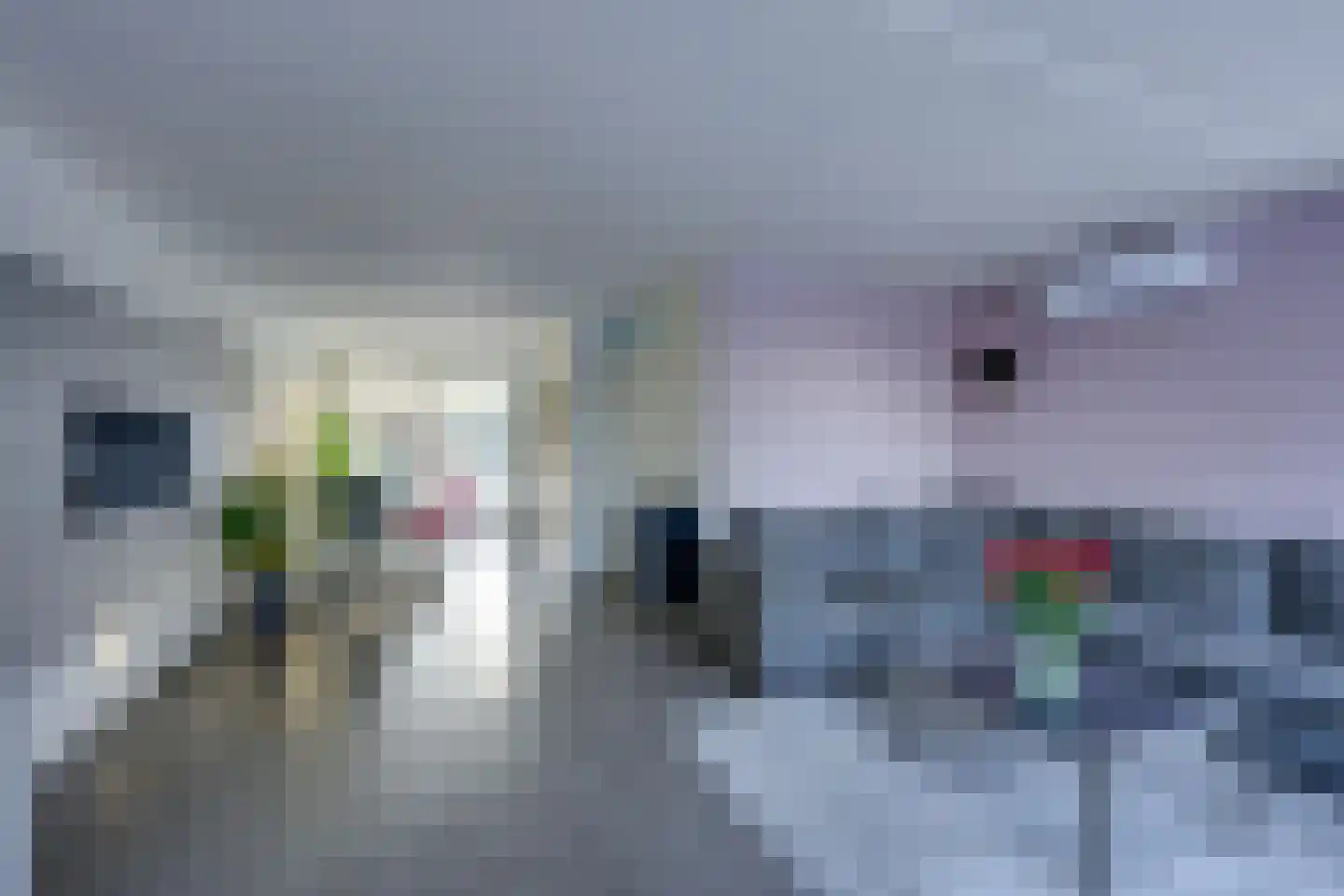 Tolsteeg 6 Sliedrecht thumbnail 18