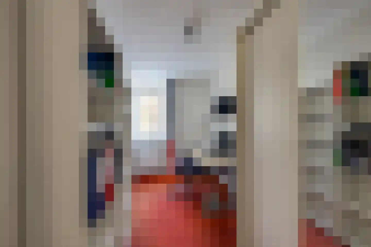 Tolsteeg 6 Sliedrecht thumbnail 41