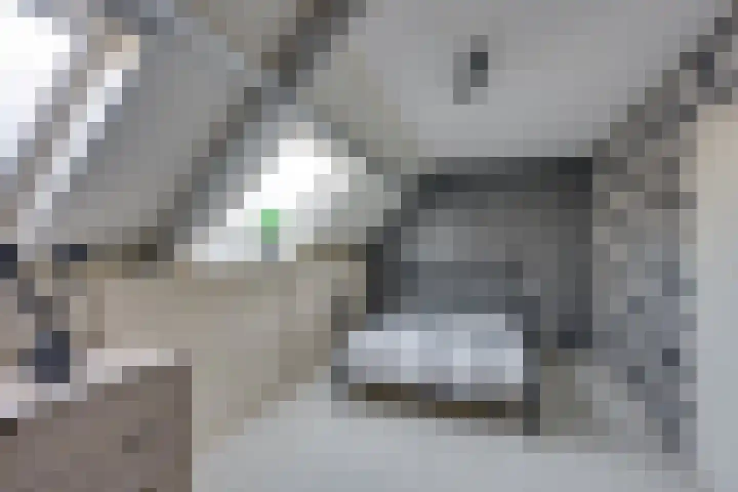 Tolsteeg 6 Sliedrecht thumbnail 48